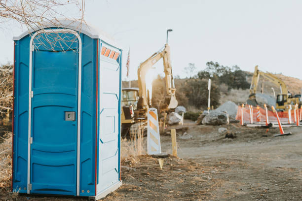 Best Affordable porta potty rental  in Lyons, IL